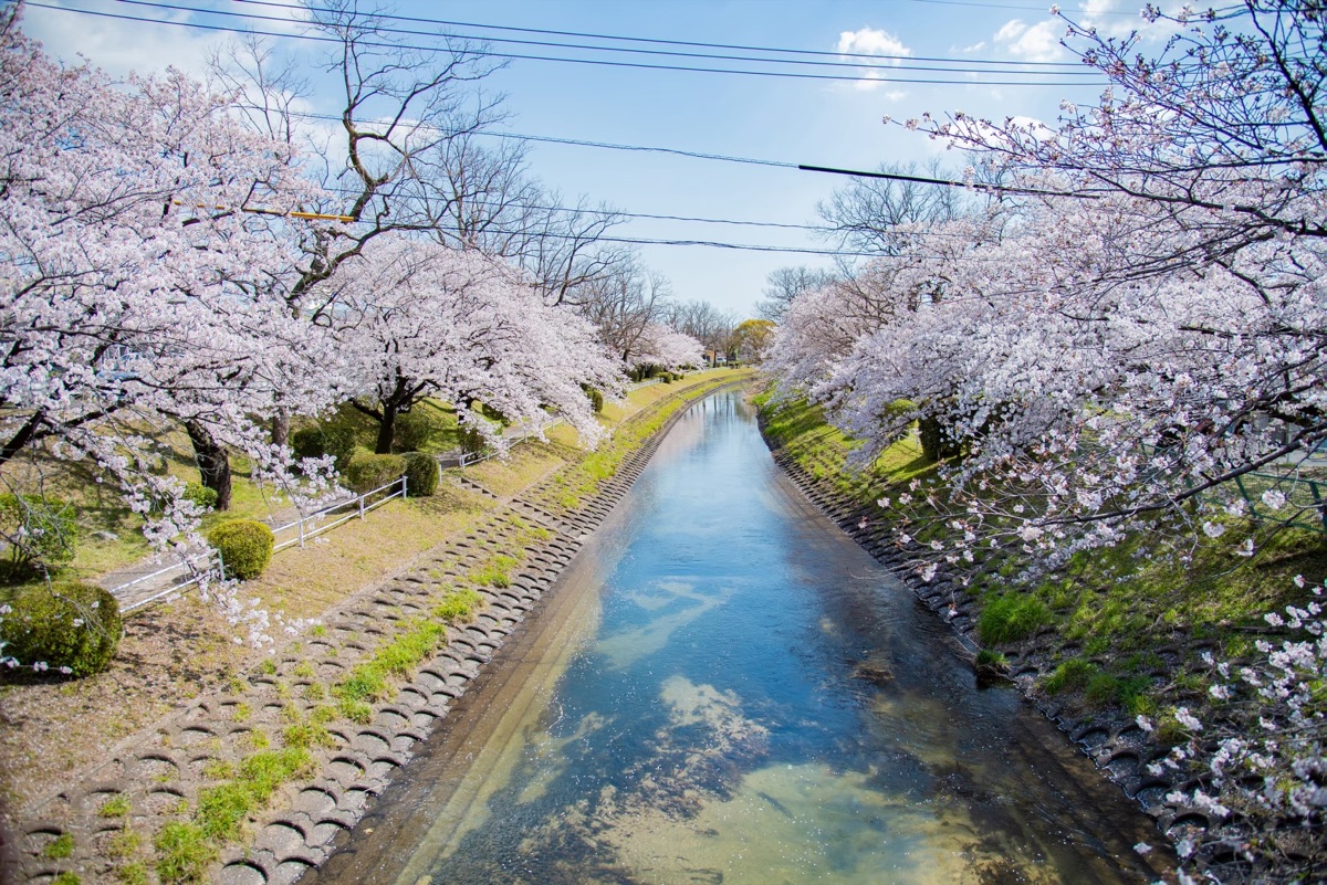 風景